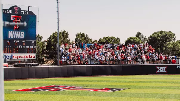softball fans at regional round
