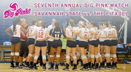 Dig Pink Graphic-1