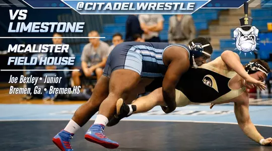 limestone preview