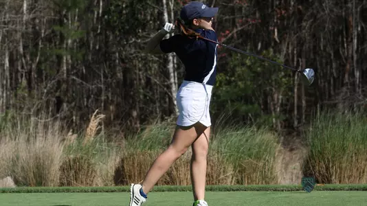 Grimal_2018_WGolf