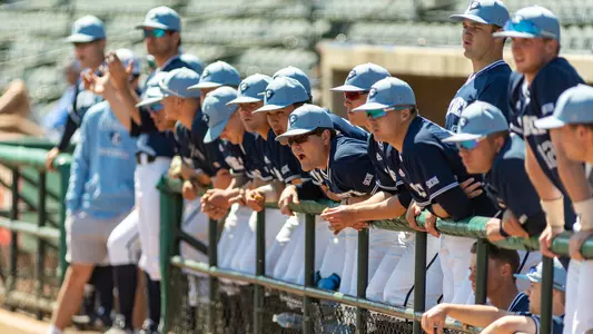 team in dugout