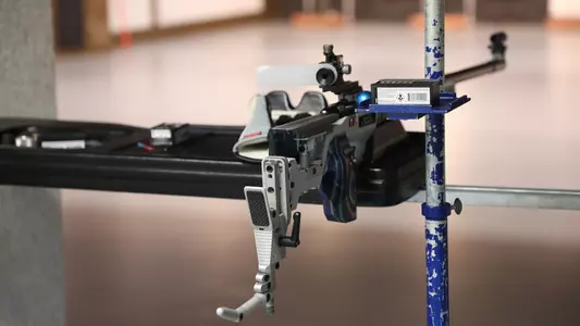 Resting gun