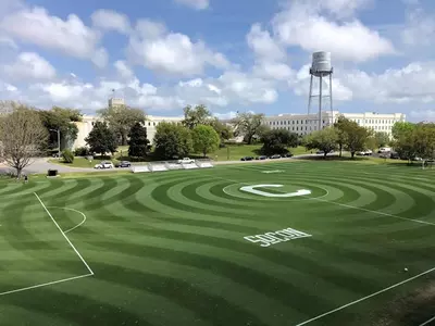 WLI Field