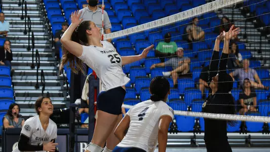 Maddy vs Wofford