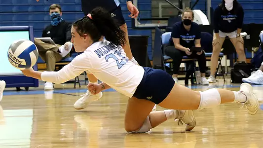 Kenzie dig vs Mercer