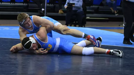 Haubert vs LIU