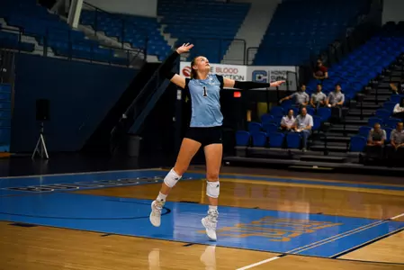 Hogan VB