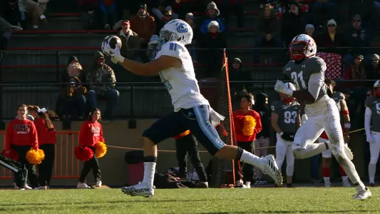 Hilton TD vs VMI