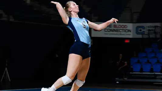 VB CSU cropped