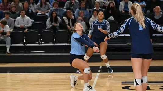 Elgert dig vs. Wofford
