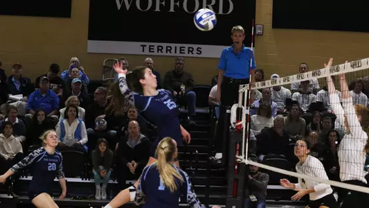 Maddy vs. Wofford