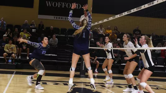 Hogan vs. Wofford