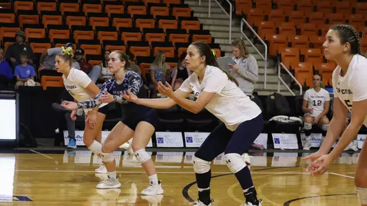 VB vs. Mercer