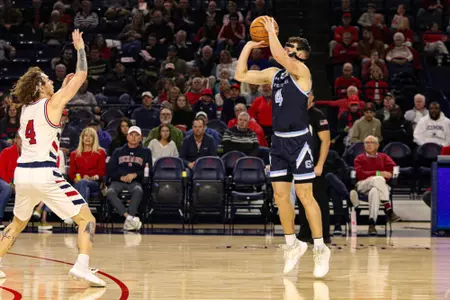 Applegate 3pt