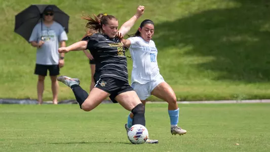 WSOC_Fuentes