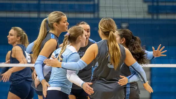 VB - Schedule Release Action Shot