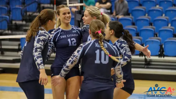 AVCA team academic award