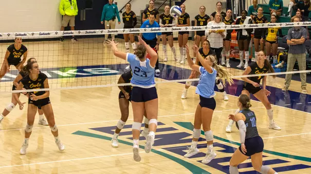 VB Preview Pic