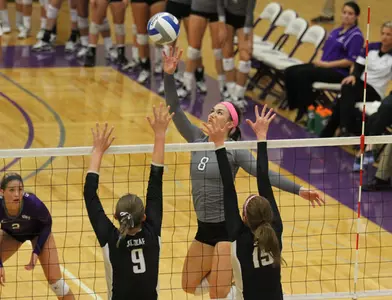 Volleyball gets third playoff title in row Image