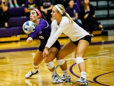 Volleyball rolls at home, sixth win in row Image