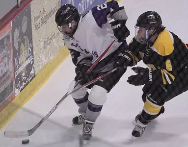 Women's Hockey falls at home to Pointers Image
