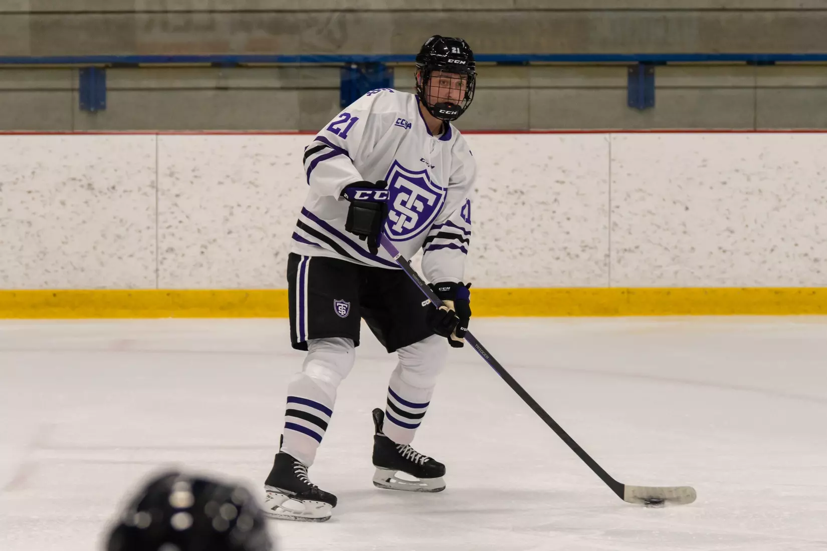 Carson Peters, Men's Hockey, MH, MHK, Alaska Fairbanks