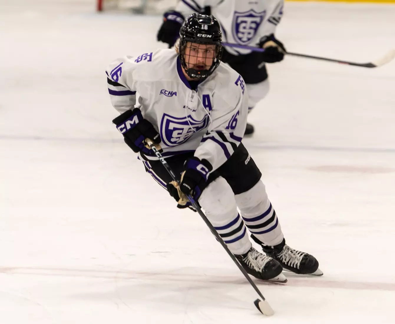 Luke Manning, Men's Hockey, MH, MHK, Alaska Fairbanks