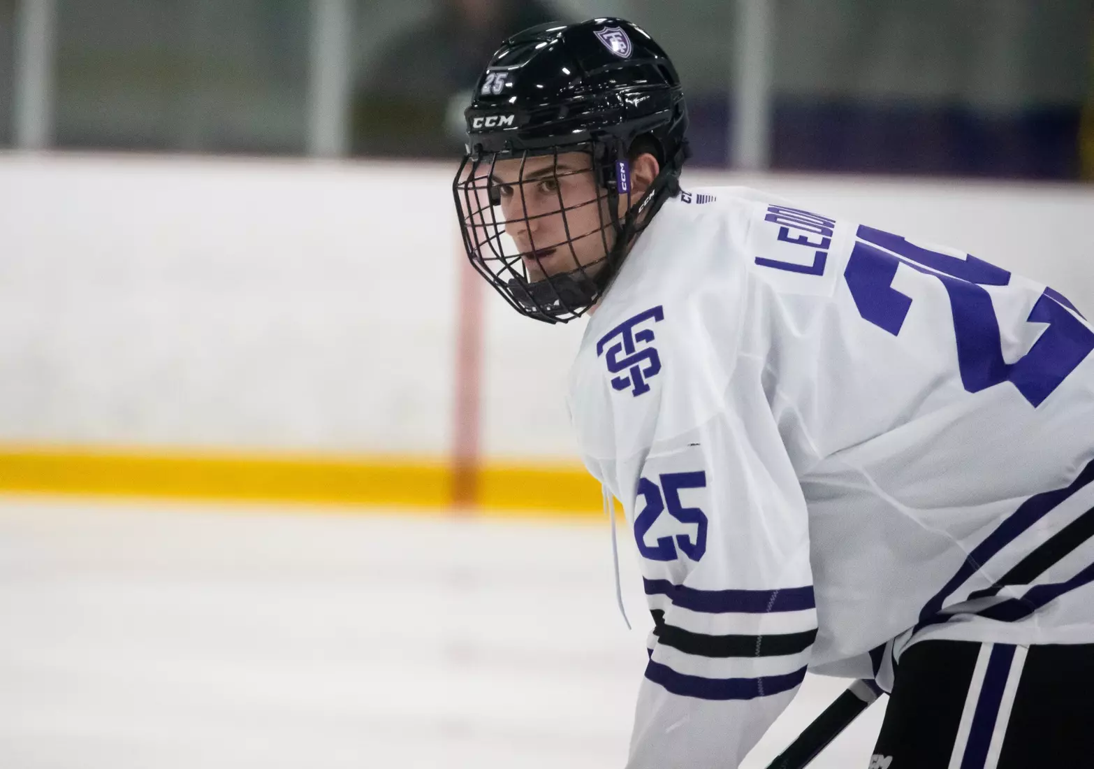 Trevor LeDonne, Men's Hockey, MH, MHK, Alaska Fairbanks
