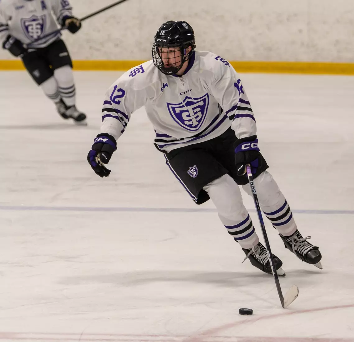 Tim Piechowski, Men's Hockey, MH, MHK, Alaska Fairbanks