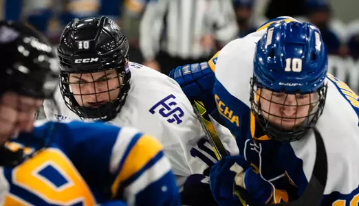MHockey_2_19