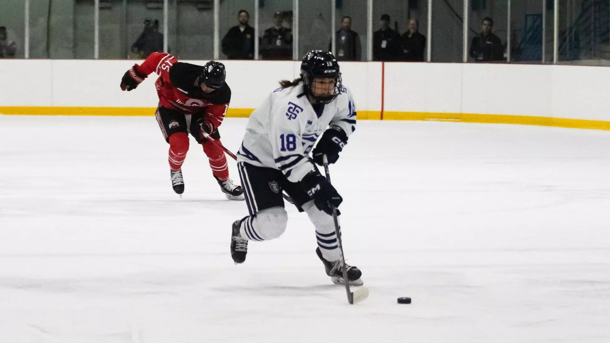Gabby Billing, Women's Hockey, WH, WHK, Ohio State, OSU, Ohio