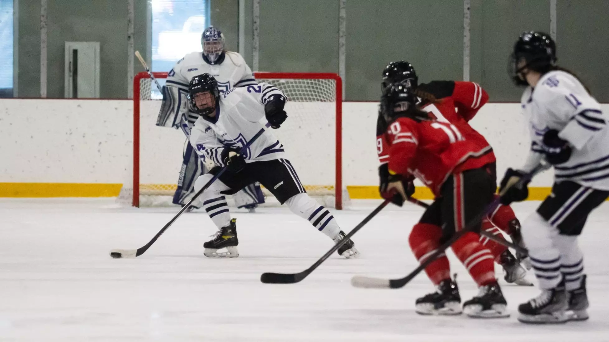 Haley Maxwell, Women's Hockey, WH, WHK, Ohio State, OSU, Ohio