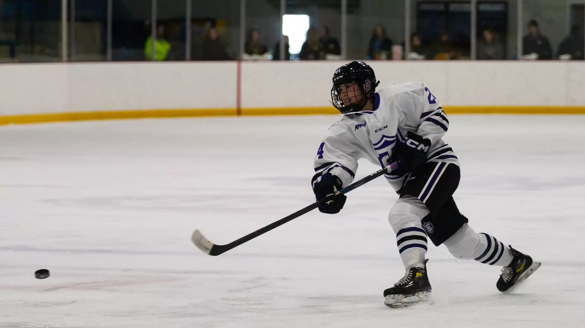 12/3, St. Cloud State, Women's Hockey, WHK, WH, Haley Maxwell