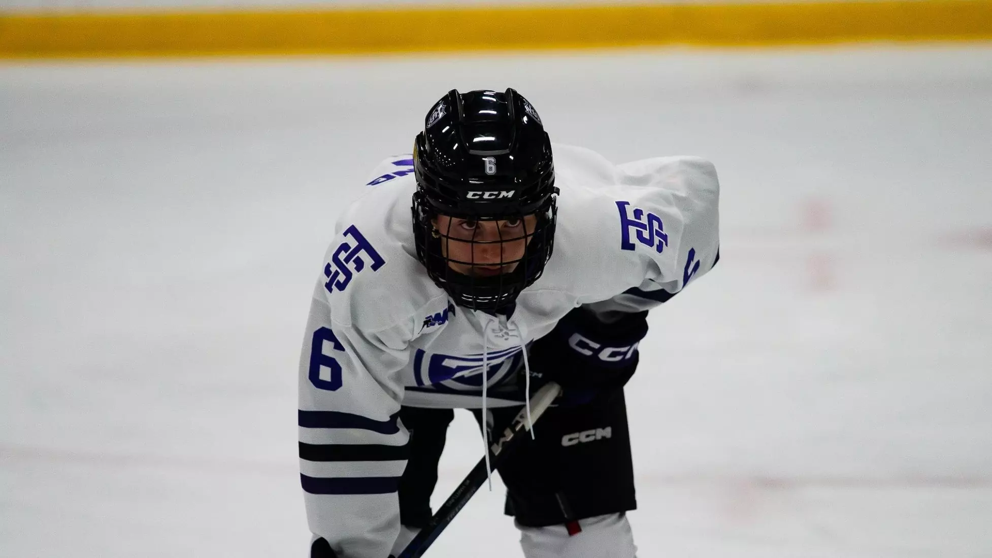 Jenna Hartung, Women's Hockey, WHK, WH, 12/17, Bemidji State