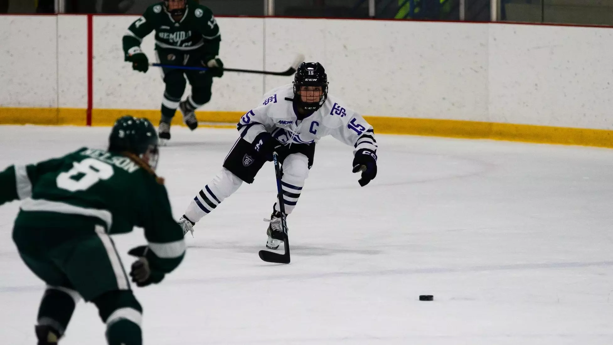 Luci Bianchi, Women's Hockey, WHK, WH, 12/17, Bemidji State