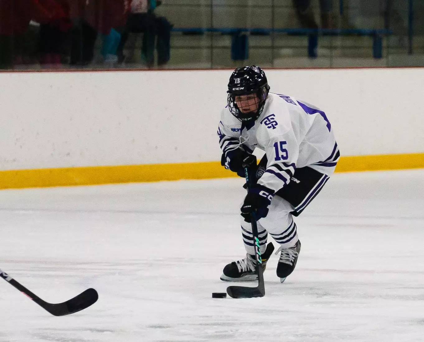 12/3, St. Cloud State, Women's Hockey, WHK, WH, Luci Bianchi