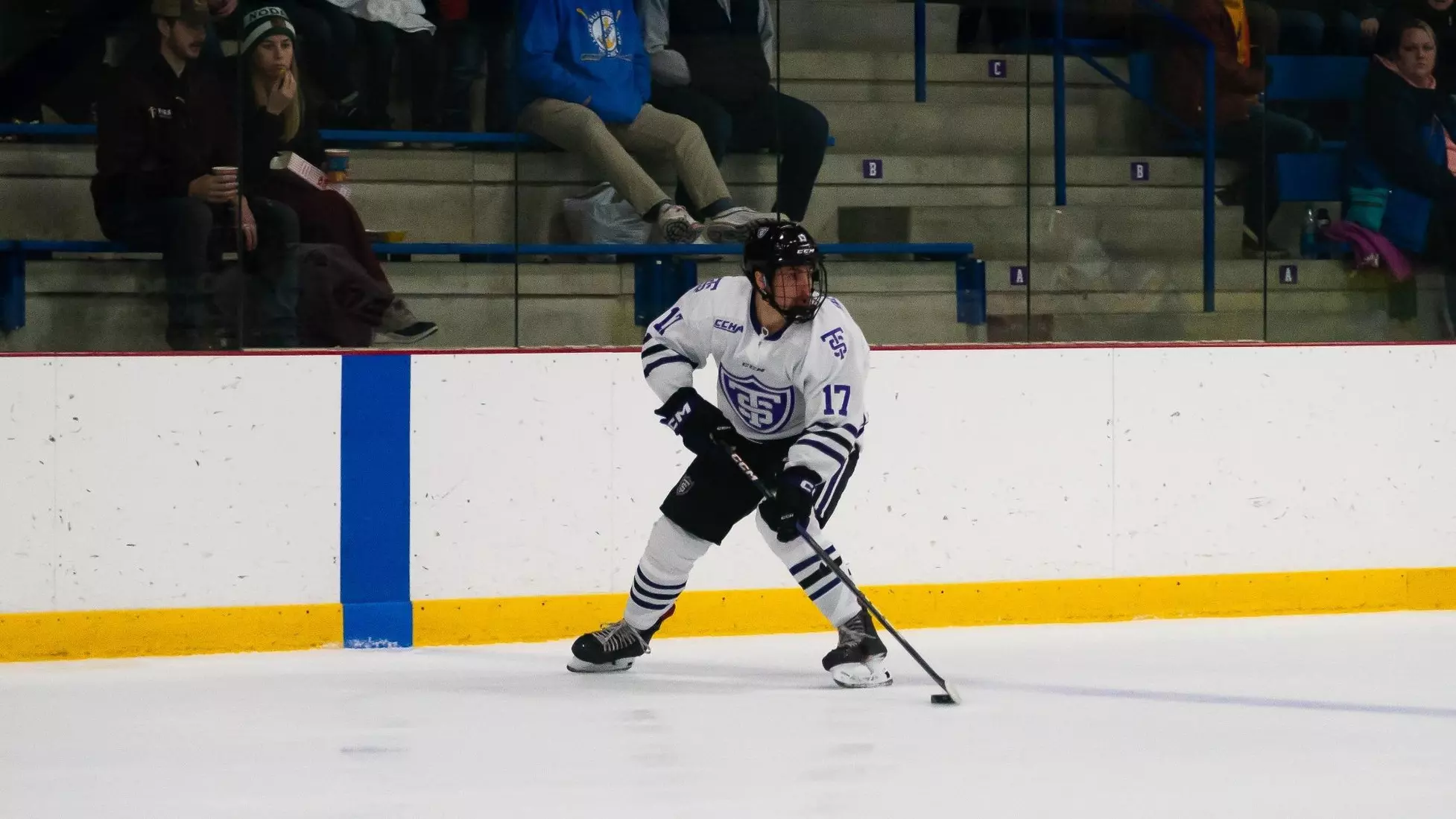 Jake Braccini, Men's Hockey, MHK, MH, 11/25, Lake Superior, Lake Superior State University