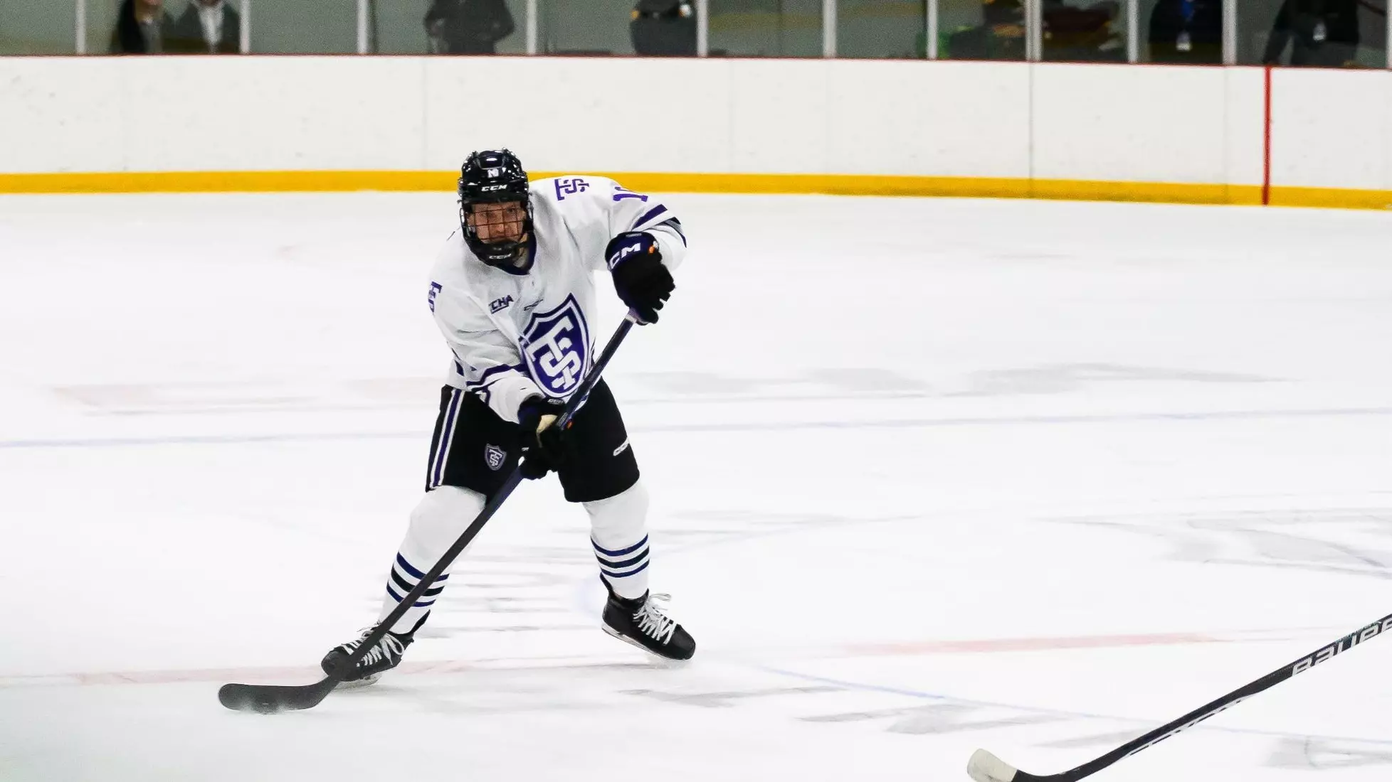 Ethan Gauer, Men's Hockey, MHK, MH, 11/25, Lake Superior, Lake Superior State University
