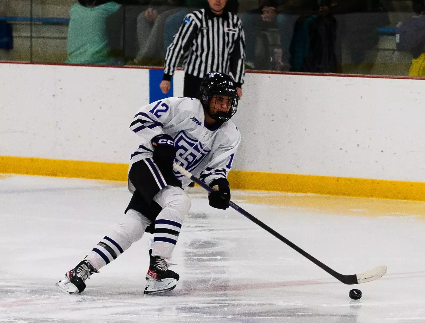 12/3, St. Cloud State, Women's Hockey, WHK, WH, Maria Cooper