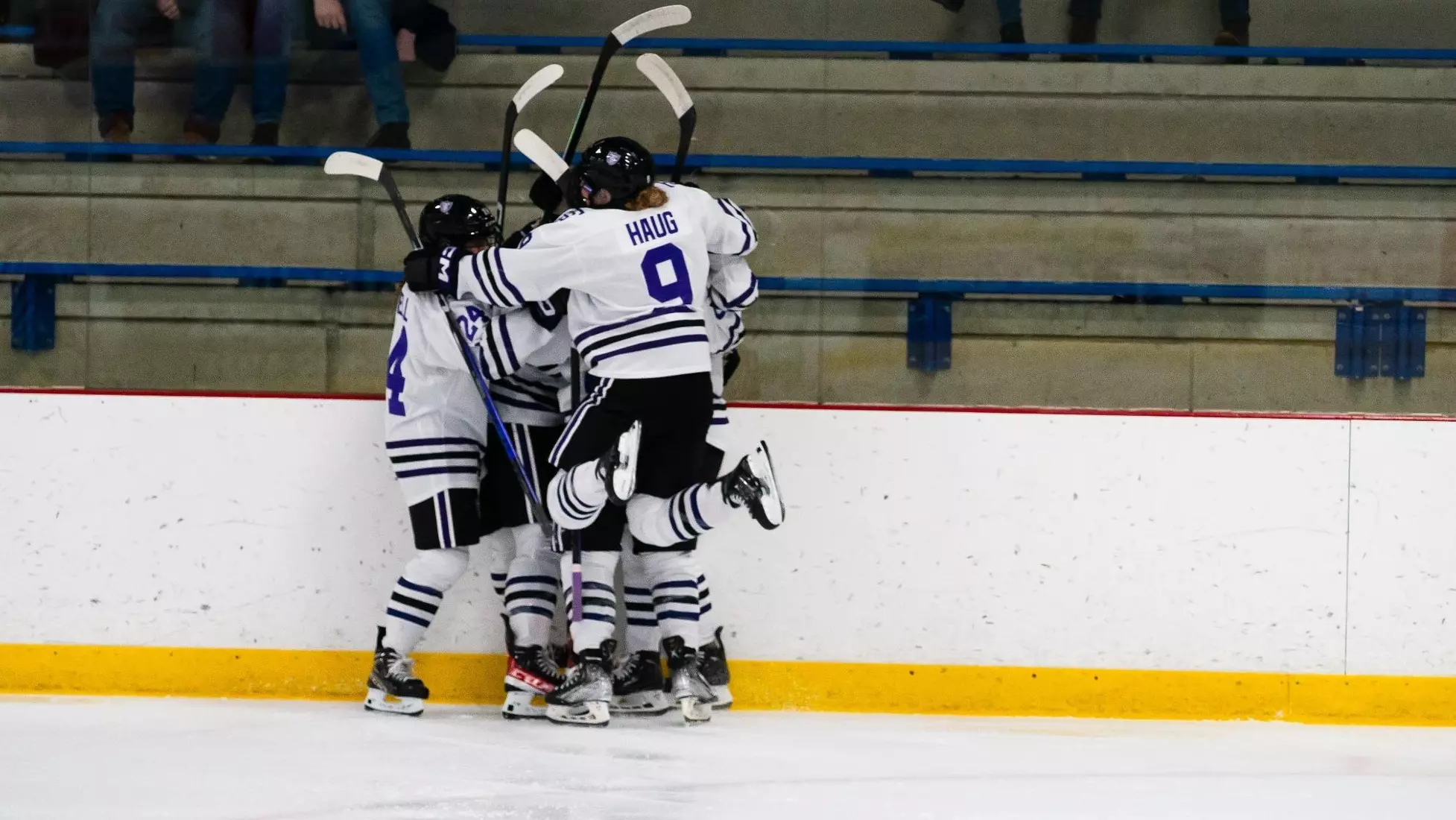 Team, Women's Hockey, WHK, WH, 12/17, Bemidji State