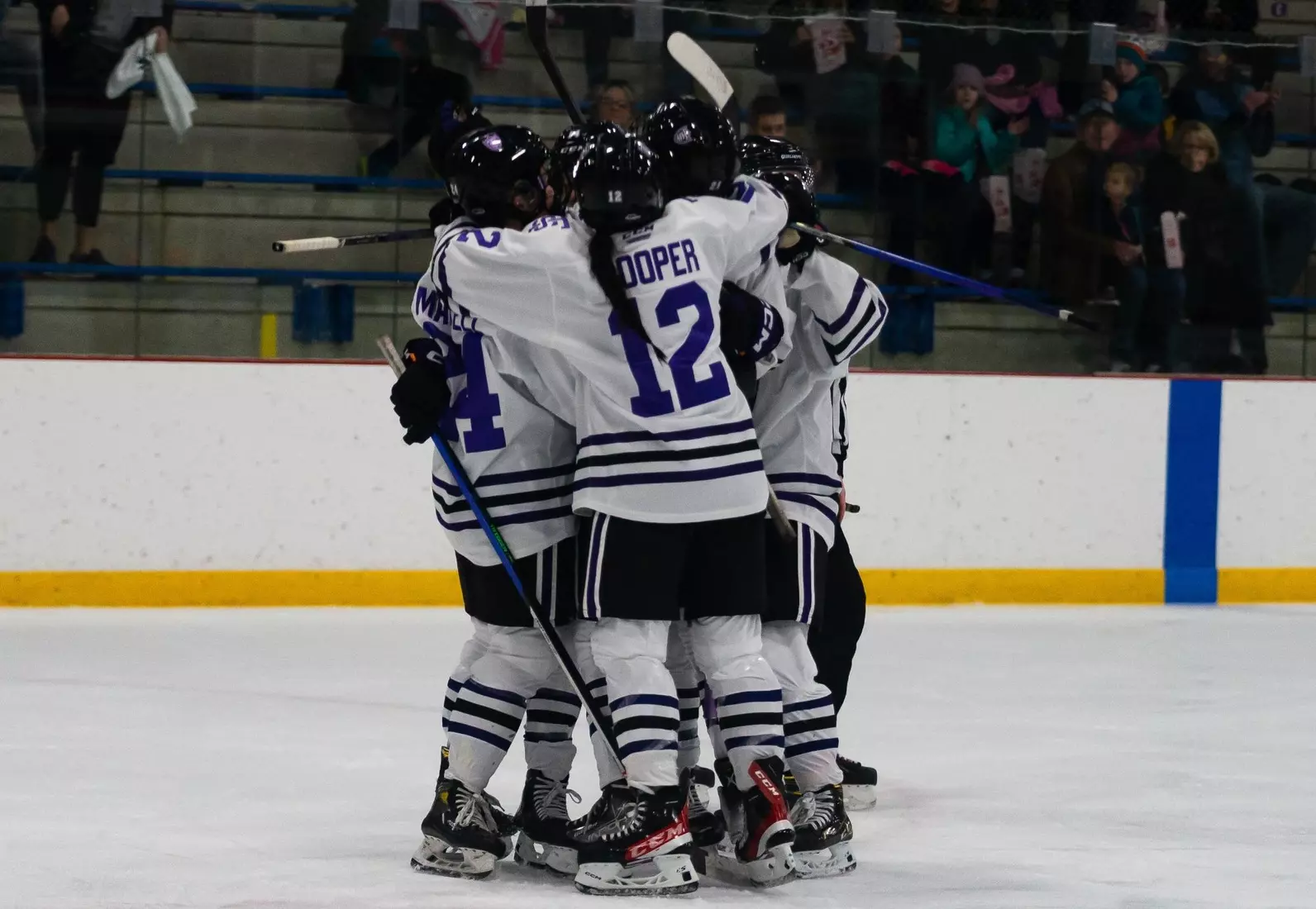 12/3, St. Cloud State, Women's Hockey, WHK, WH, team, celebration, goal