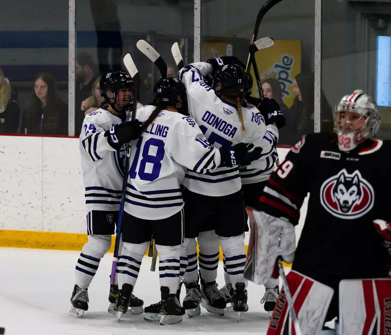 12/3, St. Cloud State, Women's Hockey, WHK, WH, team