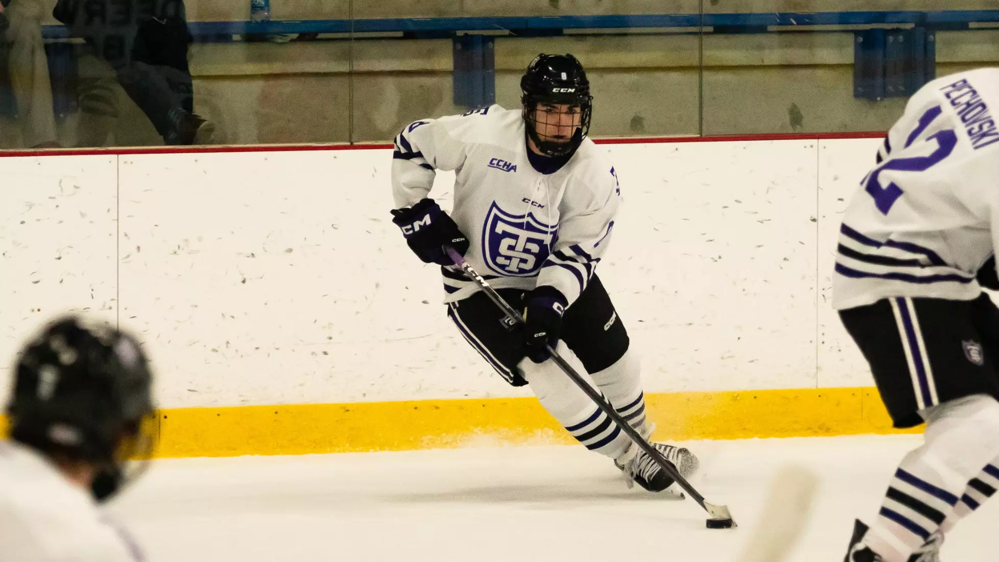 MHK, Men's Hockey, MH, Bowling Green, BG, 1/19, Cameron Recchi