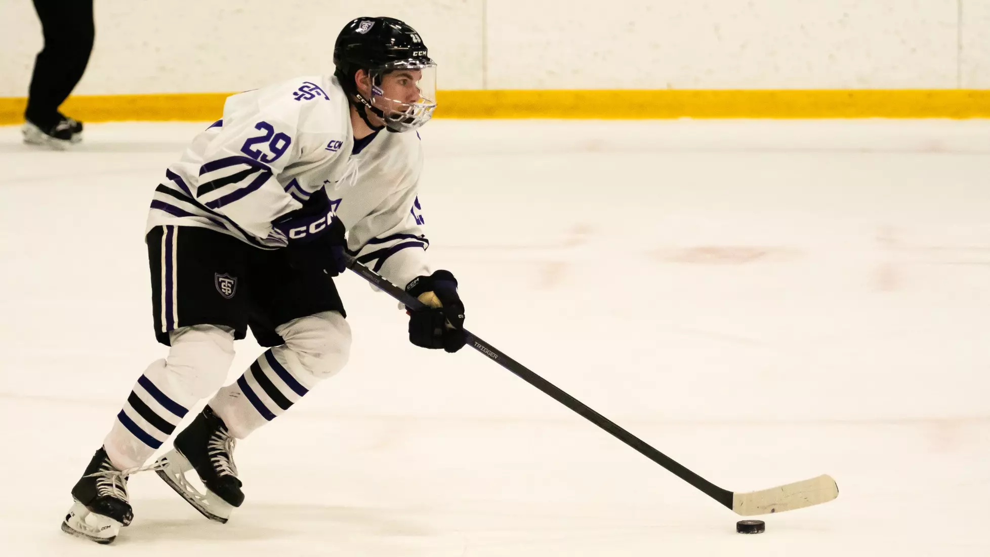 MHK, Men's Hockey, MH, Bowling Green, BG, 1/19, Jarrett Lee