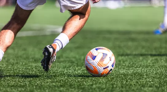Sport art