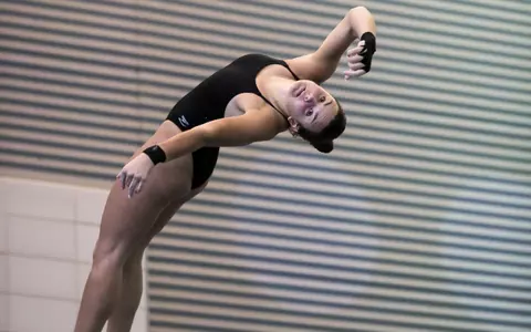 opdahldive