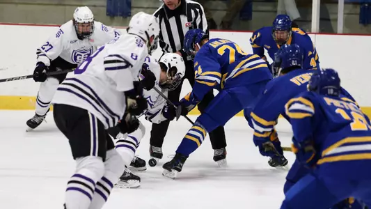 Tommies vs Lake State