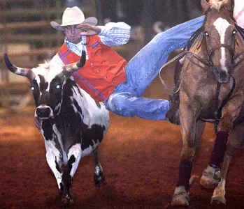 Trojan Stampede Set To Open On Thursday Image