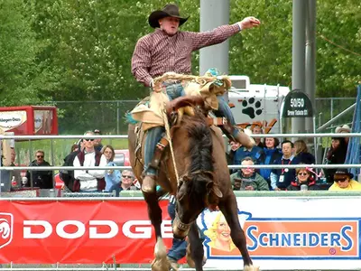 Cave Tabbed as New Rodeo Coach Image