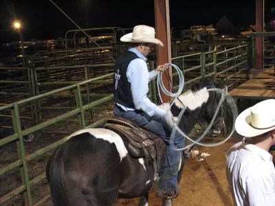 Saddle Up, Rodeo Back In Action Image